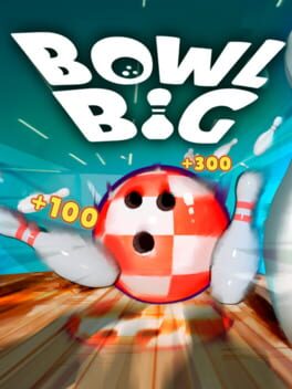 Bowl Big Cover