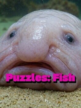 Puzzles: Fish Cover