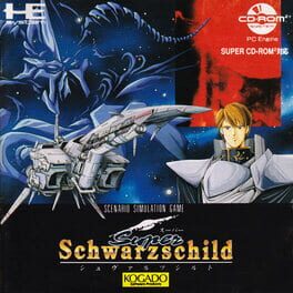 Super Schwarzschild Cover