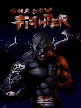 Shadow Fighter