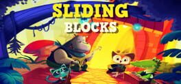 Sliding Blocks Cover