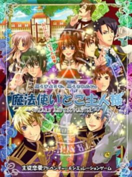 Shinsouban Mahoutsukai to Goshujin-sama: Wizard and The Master Cover