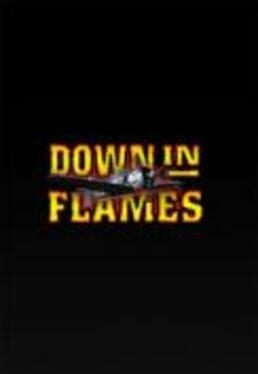 Down in Flames Cover