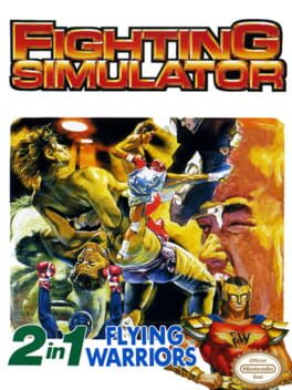 Fighting Simulator: 2-in-1 Flying Warriors Cover
