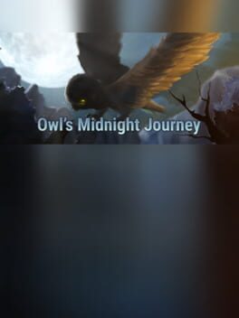 Owl's Midnight Journey Cover