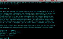 Mad Cow Man and Deep Fried Beef Fat Boy Cover