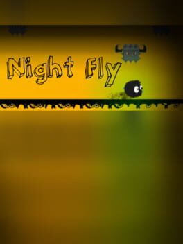 Night Fly Cover