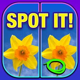 What's the Difference? Spot It Cover