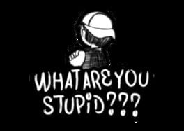 What Are You Stupid Cover