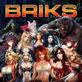 Briks Cover